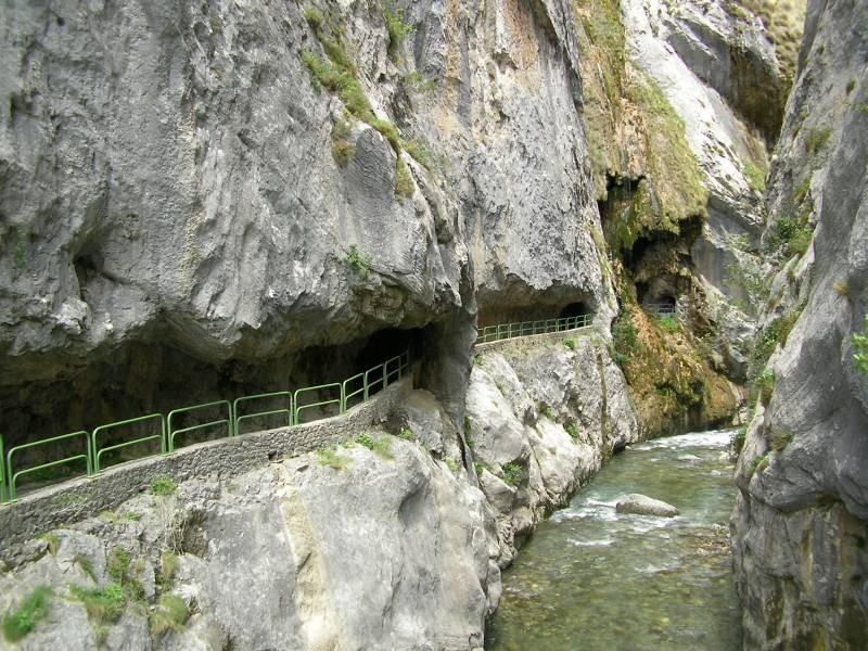 Viviendas De Uso Turistico La Arboleda I Y II Colombres Extérieur photo