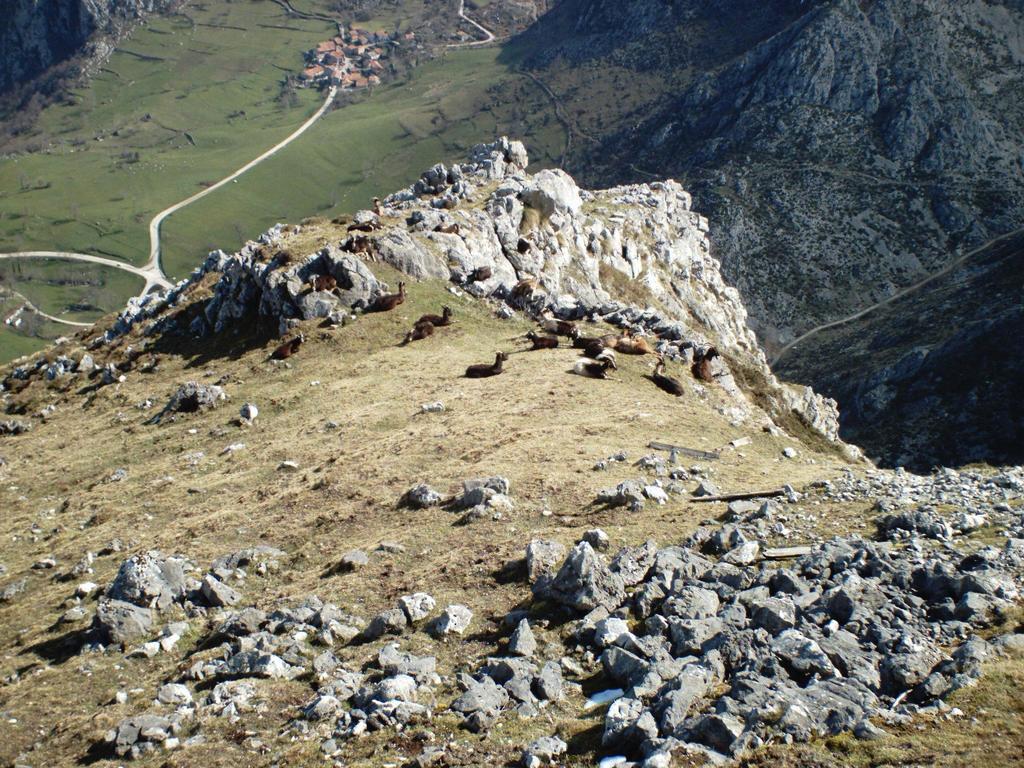 Viviendas De Uso Turistico La Arboleda I Y II Colombres Extérieur photo
