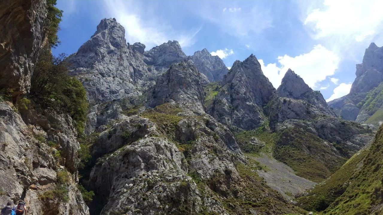 Viviendas De Uso Turistico La Arboleda I Y II Colombres Extérieur photo