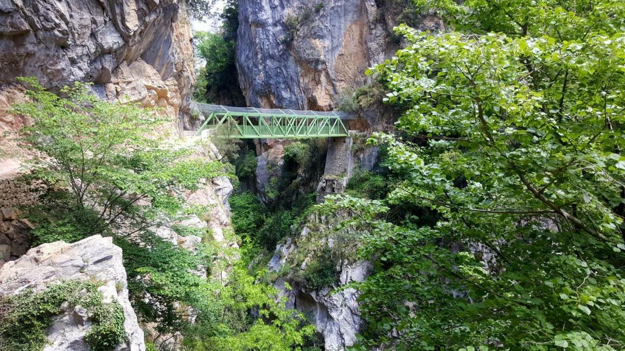 Viviendas De Uso Turistico La Arboleda I Y II Colombres Extérieur photo