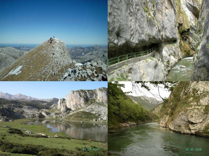 Viviendas De Uso Turistico La Arboleda I Y II Colombres Extérieur photo
